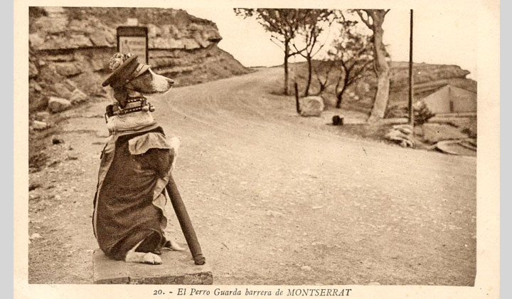 Vista en primer plano del perro guardabarrera en Montserrat. Archivo Histrico Ferroviario TP-VA-0782