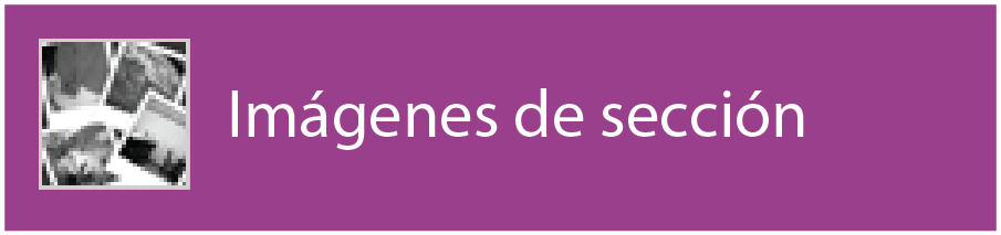 Im&aacute;genes de secci&oacute;n
