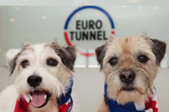 Eurotunnel alcanza los dos millones de mascotas transportadas
