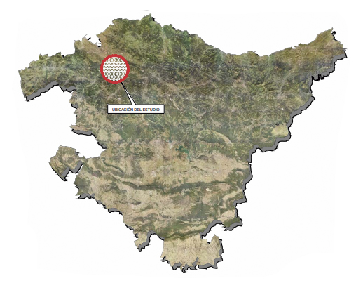 La segunda fase del estudio informativo de la variante sur de Bilbao, a informaci�n p�blica