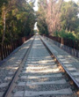 Adjudicada la redacci�n del proyecto de protecciones ac�sticas y vibratorias en el tramo Bobadilla-Ronda