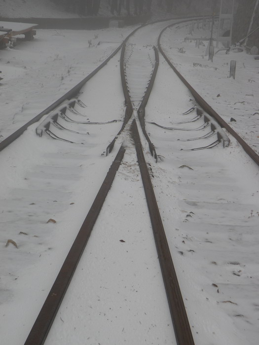 Agujas finales de la linea en Cotos
