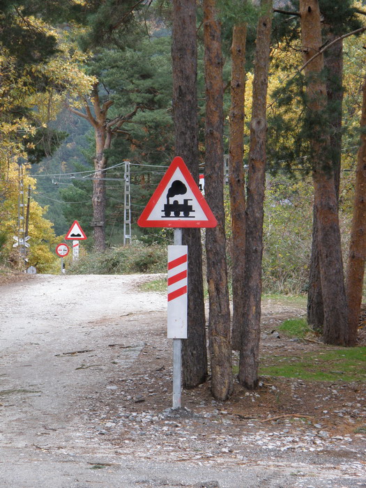 Un paso a nivel entre pinos en Camorritos