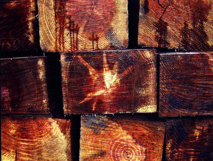 Tercer premio: "Solera" Autor: Luis Comino Lizano