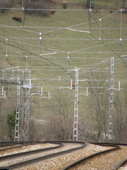 La malla de catenaria se confunde con el verde los prados asturianos
