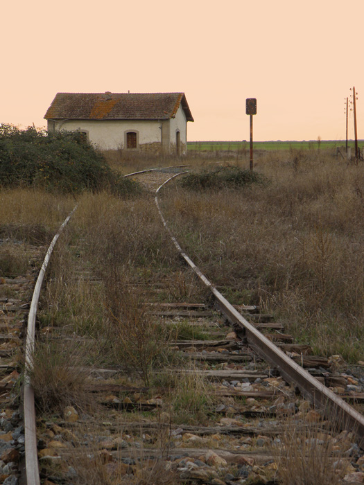 Primeros metros del cerrado ramal ferroviario que un�a la estaci�n de La Fuente de San Esteban con Portugal por La Fregeneda.