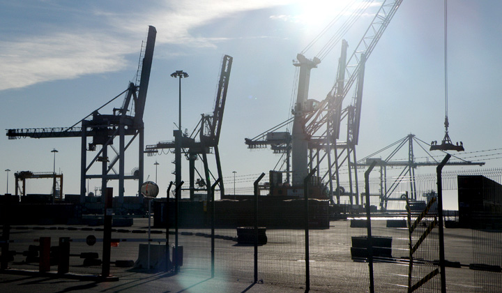 Gr�as de muelle 