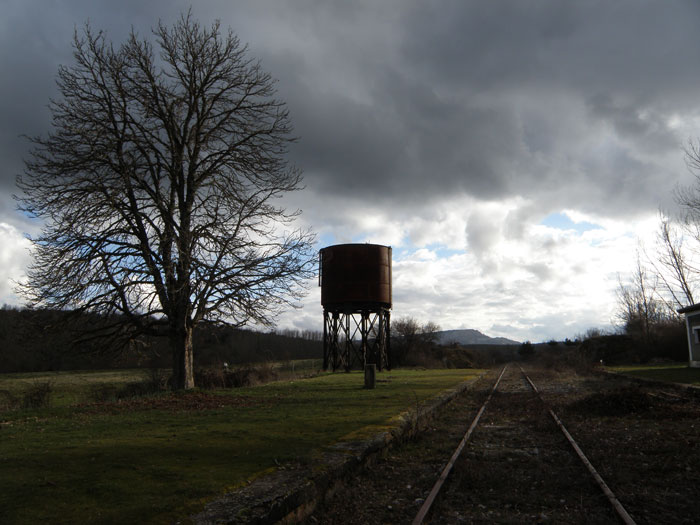 En el and�n central compiten en altura ese imponente �rbol y el no menos impresionante dep�sito de agua para las locomotoras.