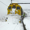 Llegaron las nieves