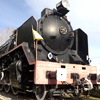 Mikado 141 F 2240 - Museo de Las Matas