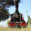 Tren del vino