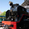 Tren de la Fresa